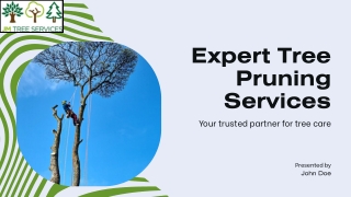 Professional tree pruning in Roundhay, Alwoodley, Leeds. Contact us!