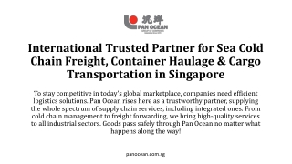 International Cargo Transportation & Sea Freight Container Haulage Services