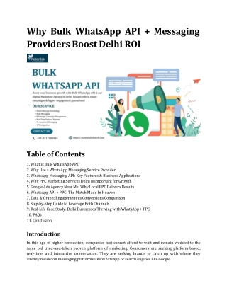 Why Bulk WhatsApp API   Messaging Providers Boost Delhi ROI