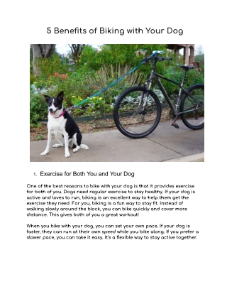 5 Benefits of Biking with Your Dog