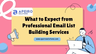 What to Expect from Professional Email List Building Services