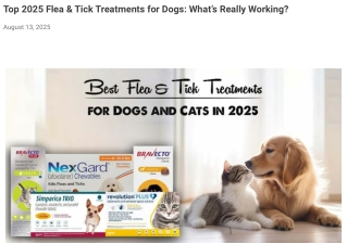 Top 2025 Flea & Tick Treatments for Dogs_ What’s Really Working_