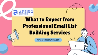 What to Expect from Professional Email List Building Services