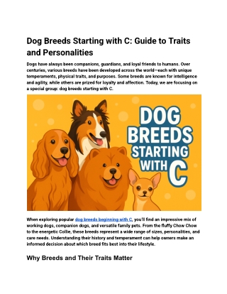 Dog Breeds Starting with C_ Guide to Traits and Personalities