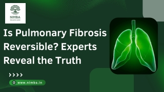 Is Pulmonary Fibrosis Reversible Experts Reveal the Truth