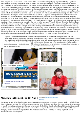 What Happens If A Vehicle Driver Leaves Scene Of An Crash Bagen Regulation Misha