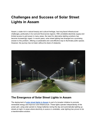 Challenges and Success of Solar Street Lights in Assam