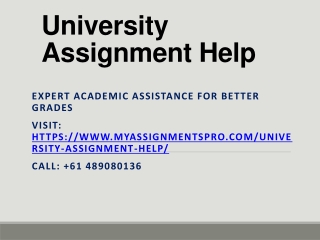 University Assignment Help