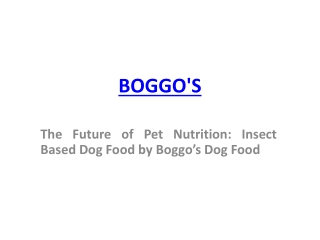 The Future of Pet Nutrition Insect Based Dog Food by Boggos Dog Food