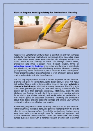 How to Prepare Your Upholstery for Professional Cleaning