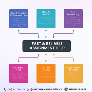 Fast & Reliable Assignment Help