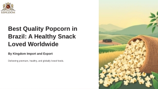 Best Quality Popcorn in Brazil: A Healthy Snack Loved Globally