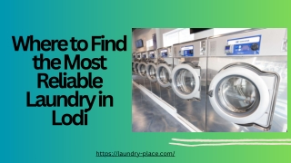 Where to Find the Most Reliable Laundry in Lodi