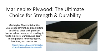 Marineplex Plywood: The Ultimate Choice for Strength & Durability