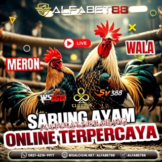 ALFABET88 BONUS CASHBACK SABUNG AYAM ONLINE