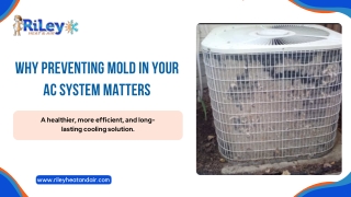 Benefits of Preventing Mold in Your AC System