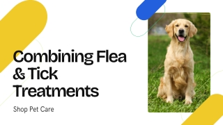 Combining Flea & Tick Treatments for Dogs