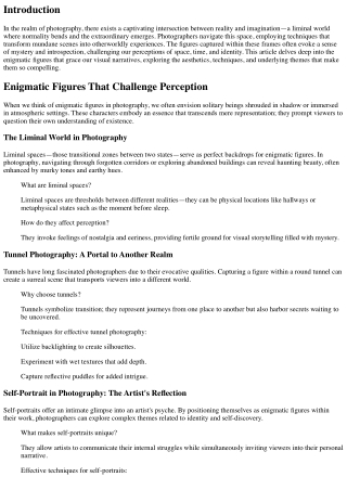 Enigmatic Figures That Challenge Perception