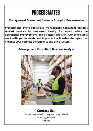 Management Consultant Business Analyst  Processmates