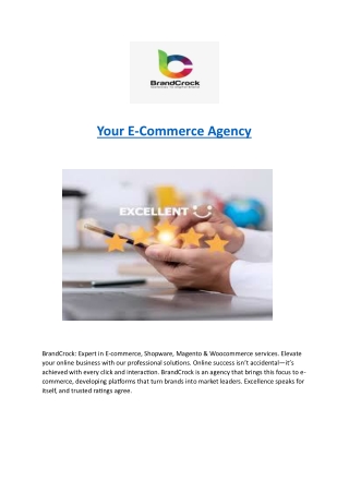 Your E-Commerce Agency