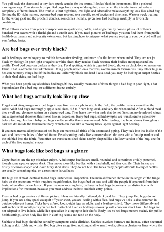 Black Bed Bugs or Something Else? Identifying Dark Insects in Your Bed