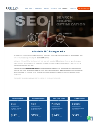 Affordable Seo Packages in India