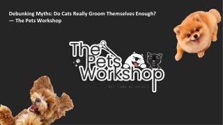 Debunking Myths Do Cats Really Groom Themselves Enough — The Pets Workshop