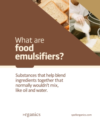 What are food emulsifiers-v3