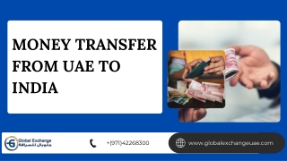money transfer from uae to india PDF