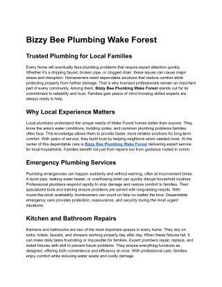 Bizzy Bee Plumbing Wake Forest