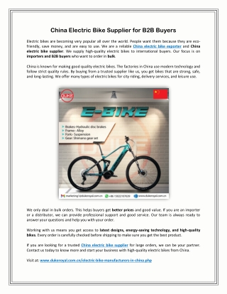 China Electric Bike Supplier for B2B Buyers