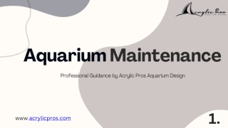 Your Expert Aquarium Maintenance Services for Healthy Tanks  Acrylic Pros Aquarium DesignHere