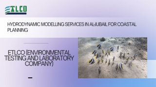 Hydrodynamic Modelling Services in Al-Jubail for Coastal Planning