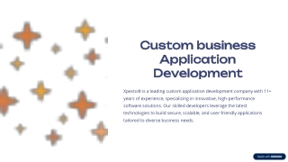 Custom-business-Application-Development