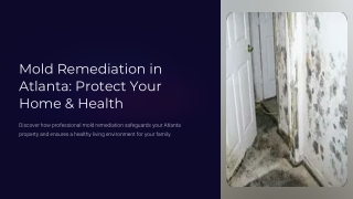 Mold Remediation Atlanta