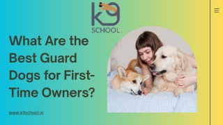 What Are the Best Guard Dogs for First-Time Owners