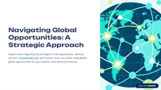 Navigating-Global-Opportunities-A-Strategic-Approach