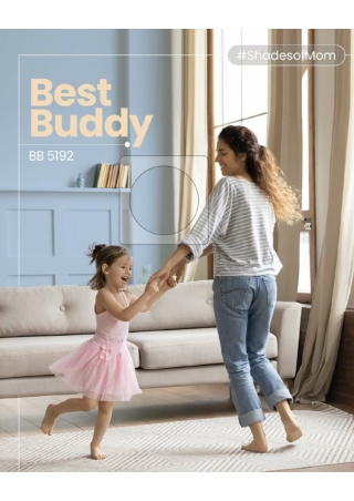 Birla Opus Prime Interior Painting – Premium Colors & Emulsions