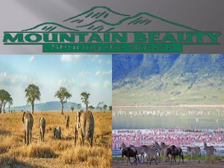 Ngorongoro Crater in Tanzania