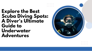 Explore the Best Scuba Diving Spots A Diver's Ultimate Guide to Underwater Adventures