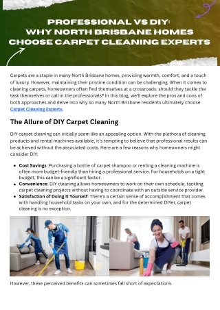 Professional vs DIY Why North Brisbane Homes Choose Carpet Cleaning Experts