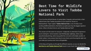 best time for wildlife lovers to visit tadoba national park
