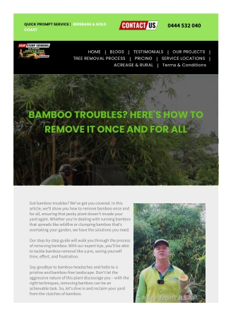 bamboo removal gold coast