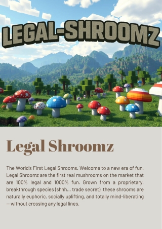 Beige Black Minimal Corporate Product Catalog A4 Document