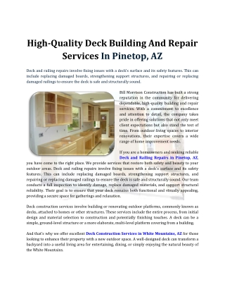 Elegant Transportation Solutions for Business Travelers