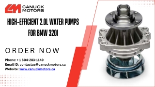 High-Efficient 2.0L Water Pumps for BMW 320i| Advanced Water Pumps for Cars