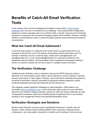 Understanding Catch-All Email Verification