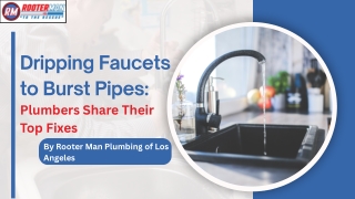Dripping Faucets to Burst Pipes: Plumbers Share Their Top Fixes