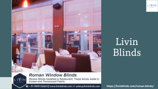 Roman Blinds for Windows