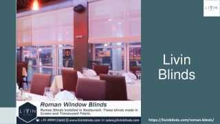 Roman Blinds for Windows